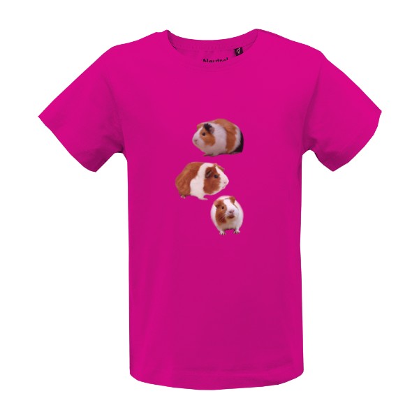 Tričko s potiskem Morče