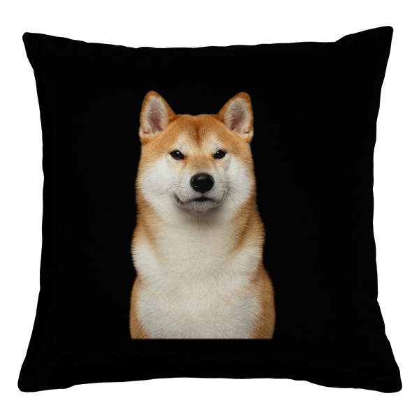 Výraz Shiby inu